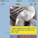 좋은친구다이어트 이미지