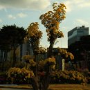 광주시청 이미지