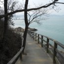 강진주유소 이미지