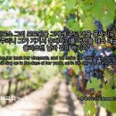 소망의문 이미지