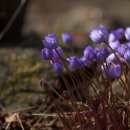 구암농장 이미지