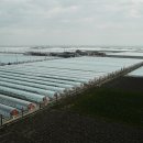 김제상회 이미지