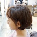 호야헤어샵