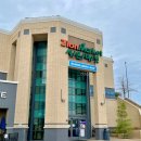 시온반점 이미지