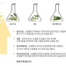 모두네일