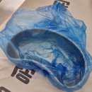 디아나동물병원 | 급성췌장염 입원 후기 췌장염 증상 원인 음식, 리파제 아밀라제 수치 20대 건강검진
