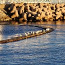 대진항 해상공원 이미지