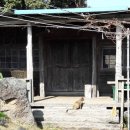 포토갤러리자연사랑미술관 이미지