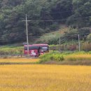 풍호농장 이미지