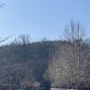 탄금공원 (탄금대로 방향) 이미지