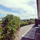 봉성클래식 민박 | 제주 애월 감성 독채 숙소 봉성클래식에서 제주를 느끼고 즐기세요!