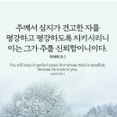옷깃 이미지
