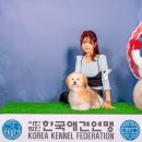 꼬똥몽드 이미지