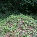 병풍사입구 이미지