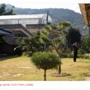 종가집민박 이미지