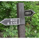 숲속나라유치원 Daum카페