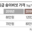 봉화약초상회