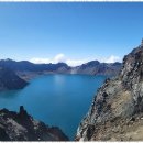 다온여행사 이미지