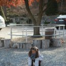 오고가고 매운탕 이미지