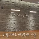 굿독 애견미용클럽 | 홍천 비발디파크 애견동반 맛집 소노펫 플레이그라운드 내돈내산