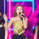 비바 라 비다 이미지