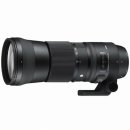 시그마 150-600mm 스포츠와 컨템포로리 차이점 이미지