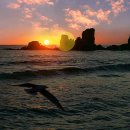 온누리 대우당약국 이미지