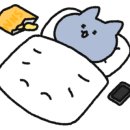 오륙에스티 이미지