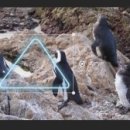 동그라미PC 이미지