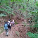 대성골2 이미지