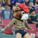호돌이크리닝 스포츠조선