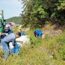 약산면-4 이미지