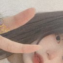 코드에이트헤어