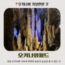 남부부분정비 | 📍일본 오키나와 남부여행-오키나와월드 방문 솔직후기