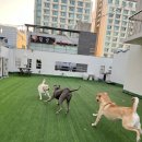 YJ공인중개사사무소 이미지