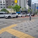 아이비유동물병원