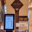 홍주당구장 | 쏠비치진도 스위트 취사 스탠다드 침대 후기 부대시설 진도홍주 기념품샵 정보