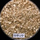 지량농장 | 2021 버섯종균기능사 2차 실기시험교육