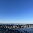 포항해파랑맛집 이미지