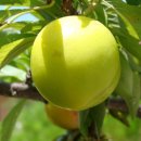 종현농장 이미지