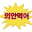 희락회맛집 | 춘천 애막골 이자카야 숙성회 맛집 희락 솔직후기