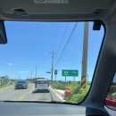 월포해수욕장 | 포항의 멋진 해변 &lt;월포&gt; 해수욕장 방문 후기!