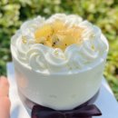 대빵오락실 | 김해홀케이크 솔케이크 예쁜 기념일케이크