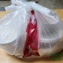 백종원의 인생 설렁탕 장위뉴타운점 서울 노원구 월계동 설렁탕 배달 맛집 리뷰!