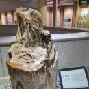 문경 에코랄라(석탄박물관 포함) 이미지