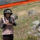 생동농장 이미지