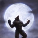 원더로크 홀 이미지