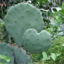 왕지농장 이미지