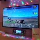 악쓰는하마코인노래연습장 신촌점 이미지