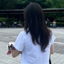 아이엠필름(IMFILM)